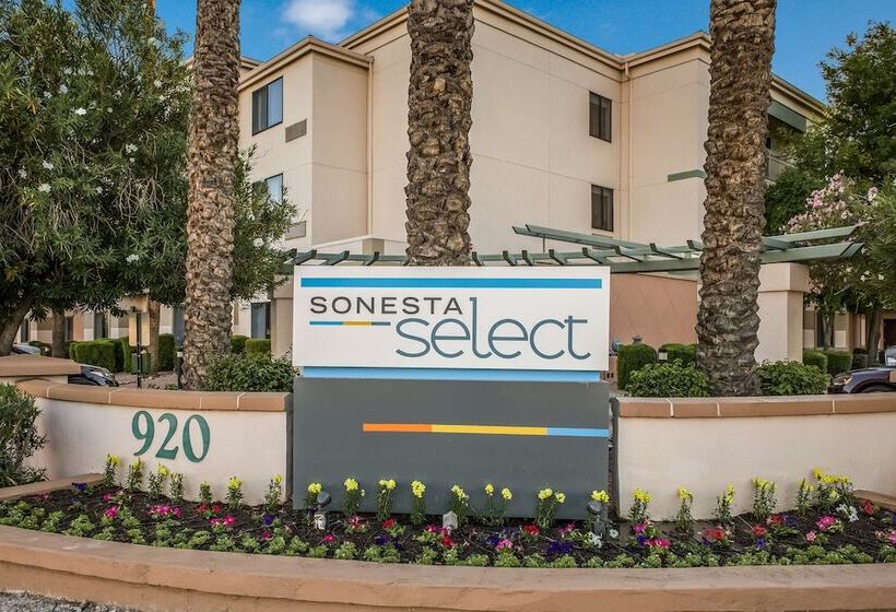 ホテル Sonesta Select Phoenix Chandler