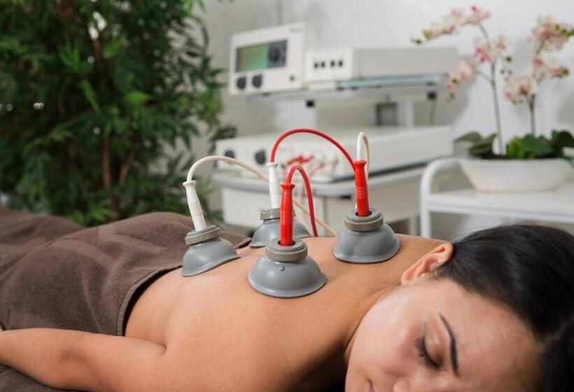 Отель Spa Club Bor