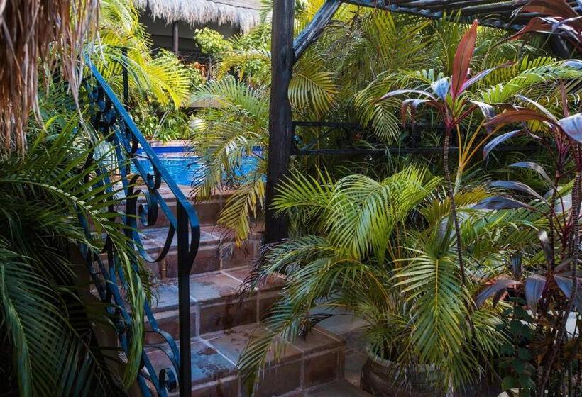 La Pasion Colonial Hotel Boutique By Bunik