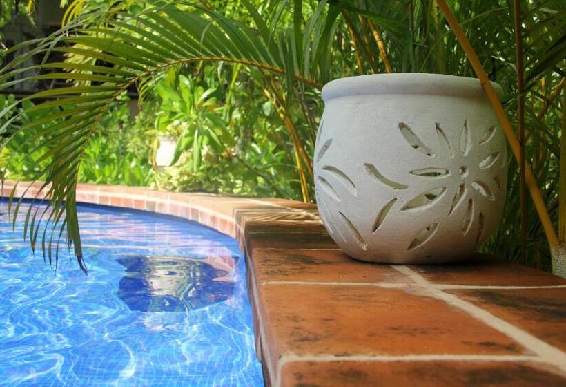 La Pasion Colonial Hotel Boutique By Bunik