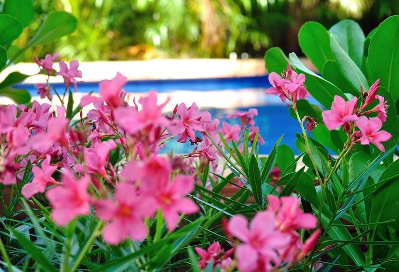 La Pasion Colonial Hotel Boutique By Bunik