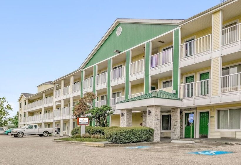 Siegel Select   Baton Rouge