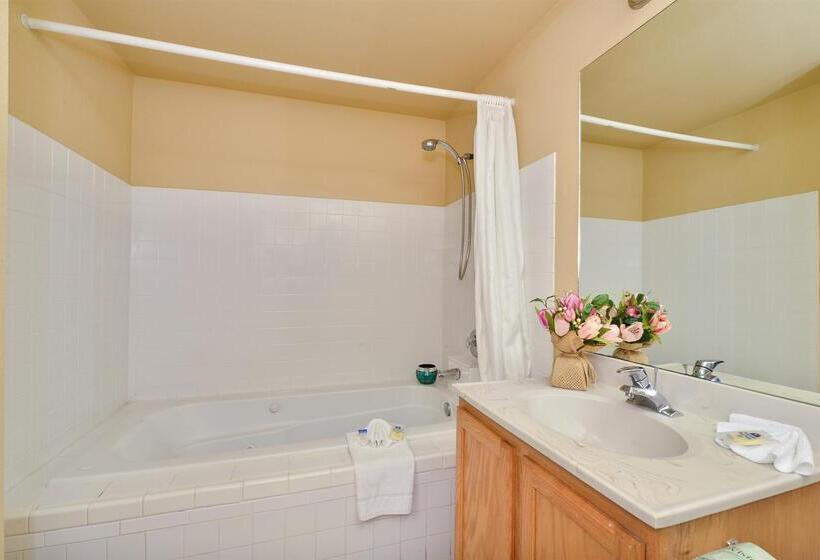 فندق Americas Best Value Inn Lakewood Tacoma S