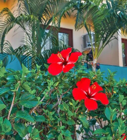 Ayla Praia Hotel Centro Porto Segur