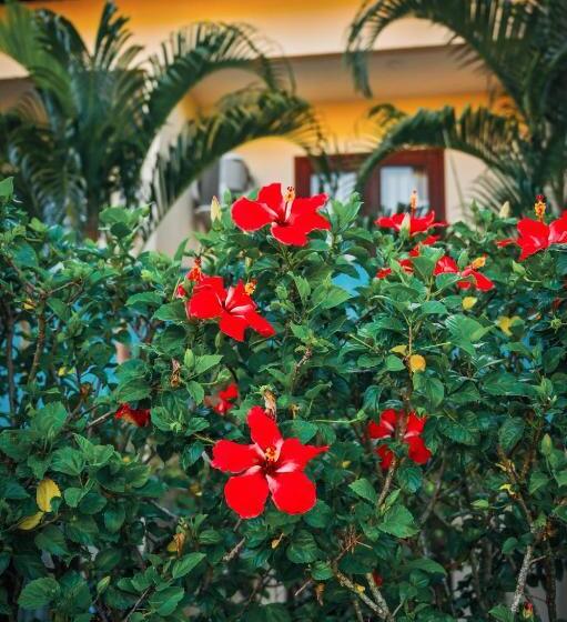 Ayla Praia Hotel Centro Porto Segur