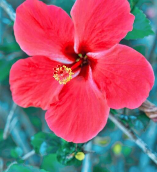 Ayla Praia Hotel Centro Porto Segur