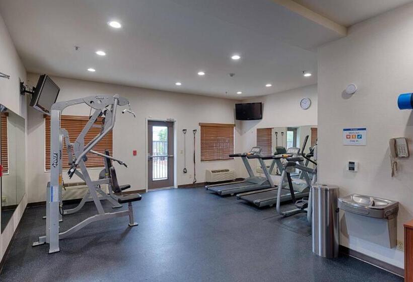 酒店 Best Western Plus Delta Inn & Suites