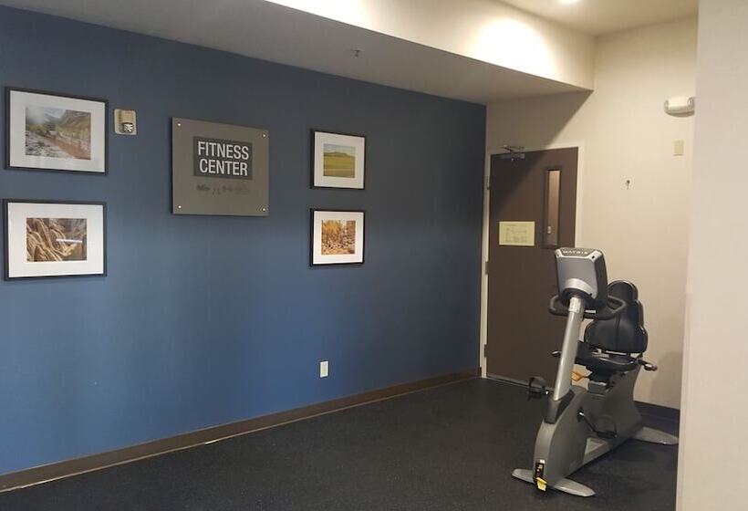 酒店 Best Western Plus Delta Inn & Suites