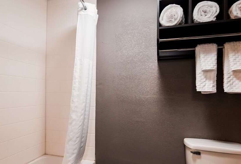 فندق Best Western Plus Spartanburg