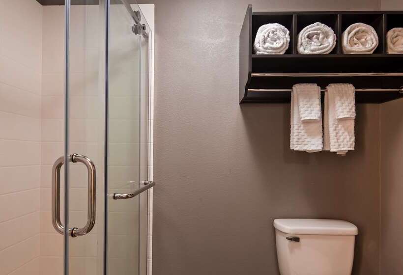 فندق Best Western Plus Spartanburg