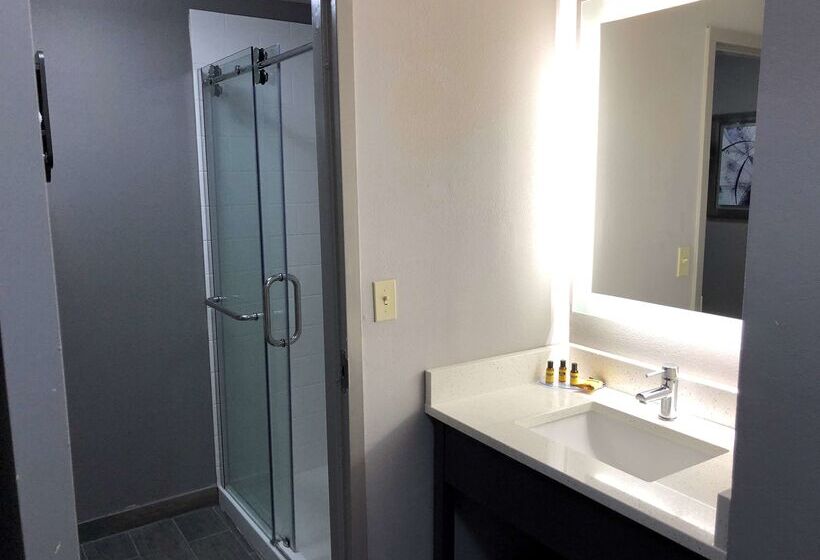 فندق Best Western Plus Spartanburg