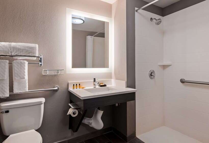 فندق Best Western Plus Spartanburg