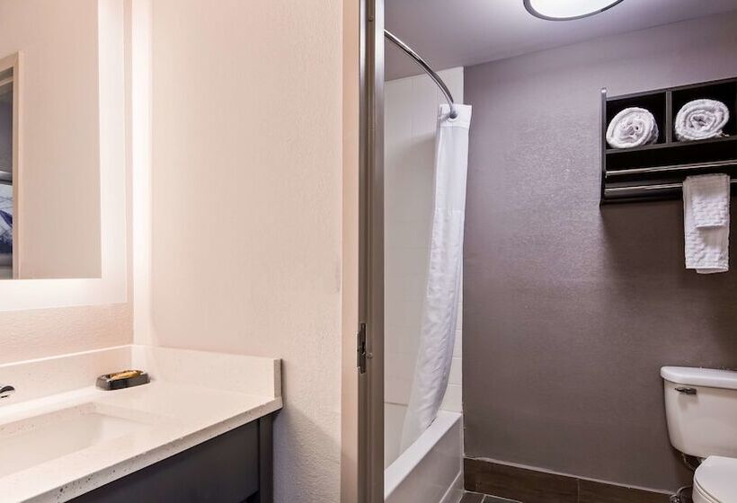 فندق Best Western Plus Spartanburg