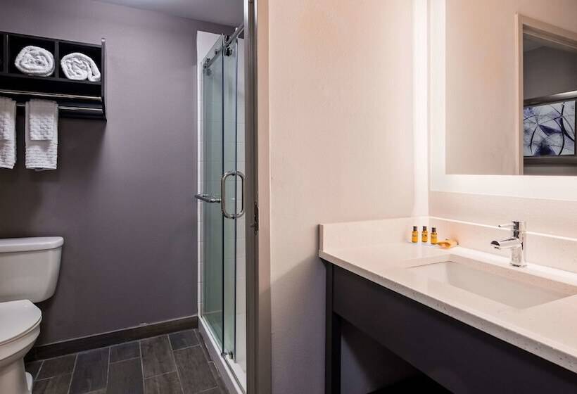 فندق Best Western Plus Spartanburg