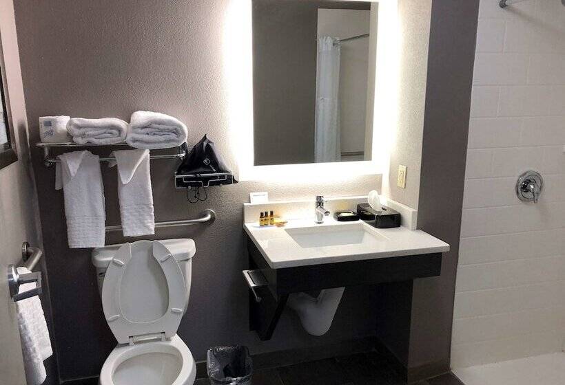 فندق Best Western Plus Spartanburg