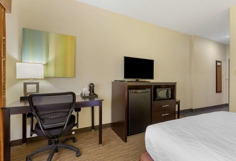 فندق Best Western Plus The Four Corners Inn