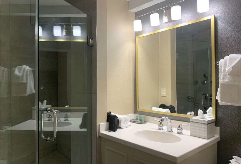 Best Western Syracuse Downtown Hotel And Suites