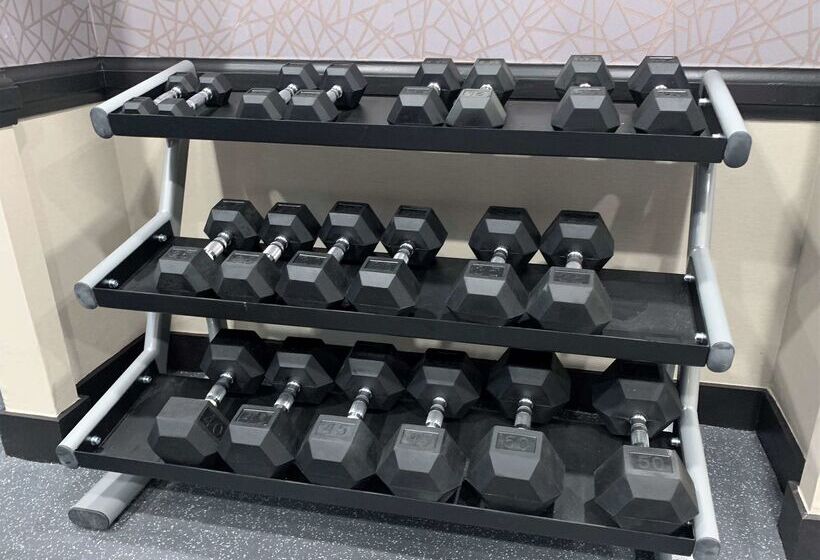 Best Western Syracuse Downtown Hotel And Suites