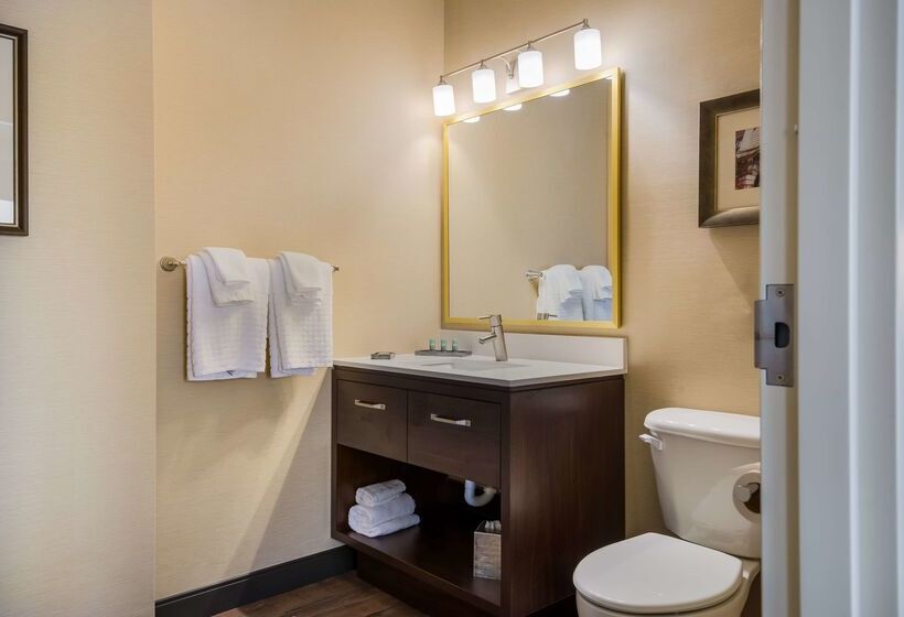 Best Western Syracuse Downtown Hotel And Suites