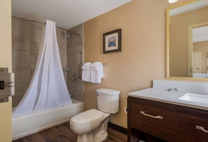 Best Western Syracuse Downtown Hotel And Suites