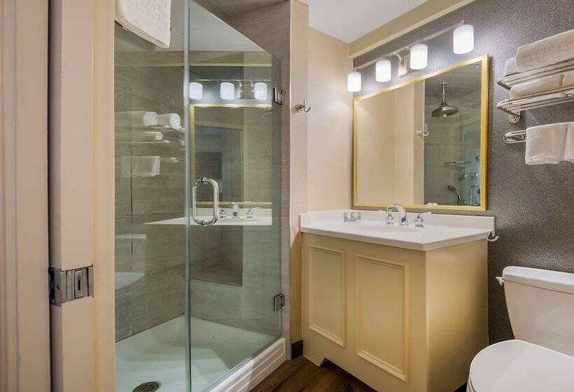 Best Western Syracuse Downtown Hotel And Suites