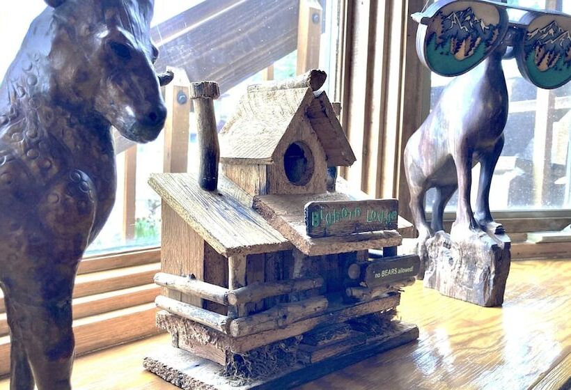 فندق Big Horn Lodge