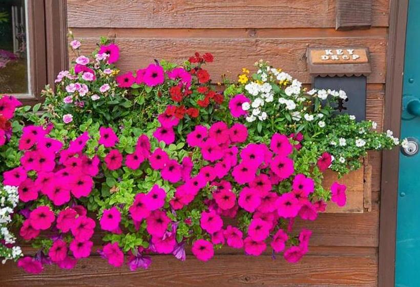 فندق Big Horn Lodge