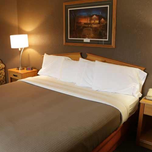 Boarders Inn And Suites By Cobblestone Hotels   Fayette