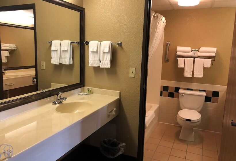 Boarders Inn And Suites By Cobblestone Hotels   Fayette
