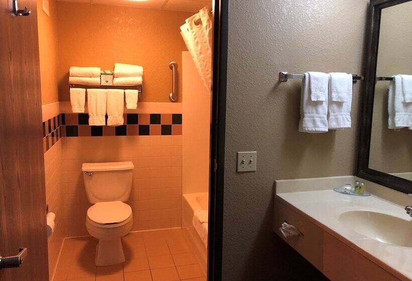 Boarders Inn And Suites By Cobblestone Hotels   Fayette