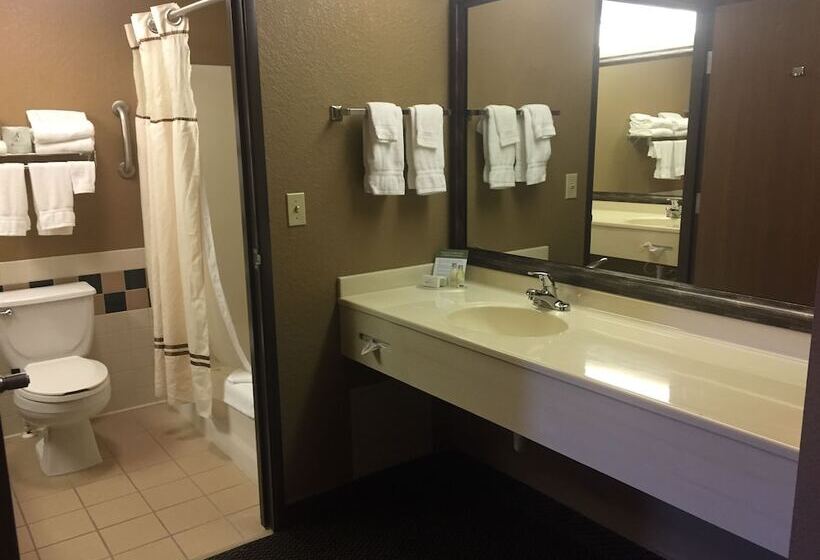 Boarders Inn And Suites By Cobblestone Hotels   Fayette