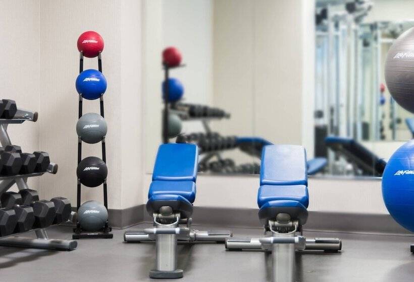 فندق Chicago Marriott Suites Deerfield