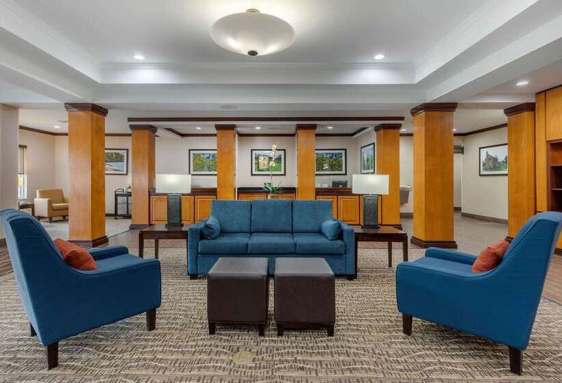 فندق Comfort Inn & Suites