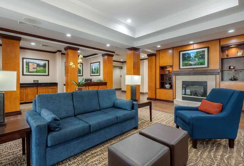 فندق Comfort Inn & Suites