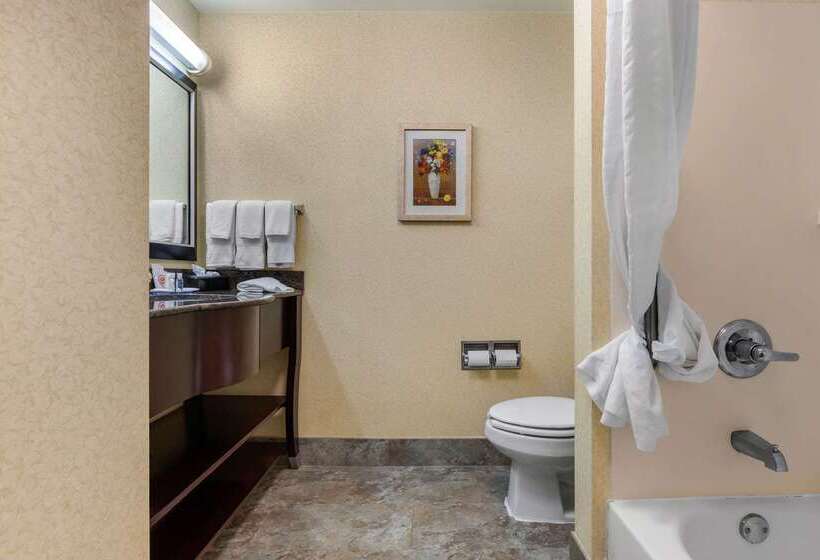 فندق Comfort Inn & Suites