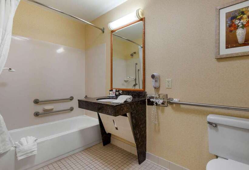 فندق Comfort Inn & Suites