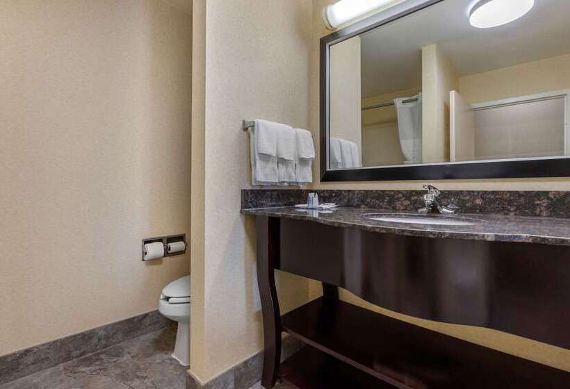 فندق Comfort Inn & Suites