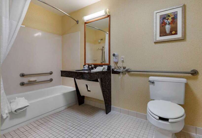 فندق Comfort Inn & Suites