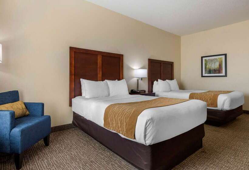 فندق Comfort Inn & Suites