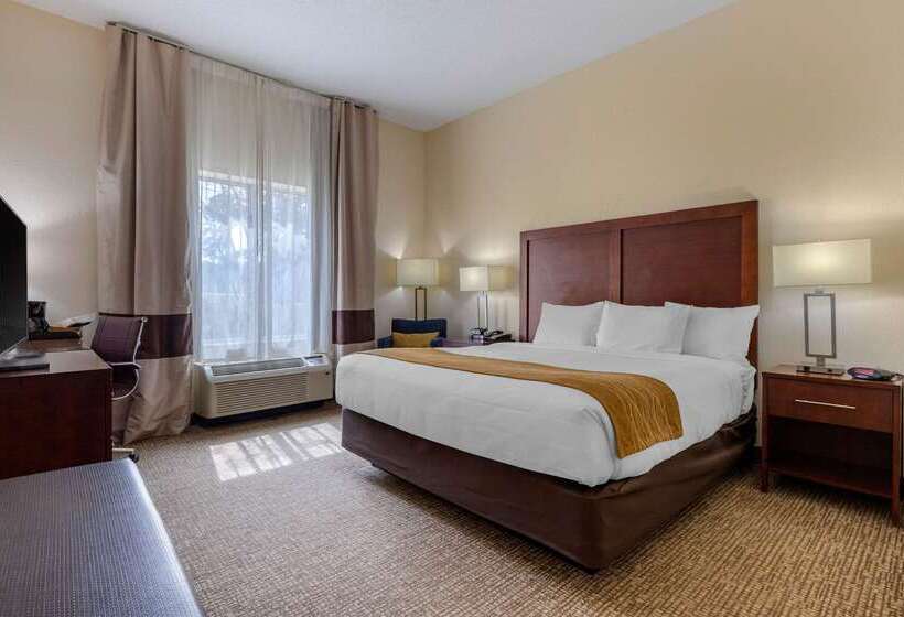 فندق Comfort Inn & Suites