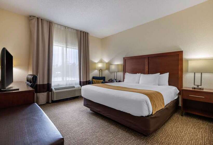 فندق Comfort Inn & Suites