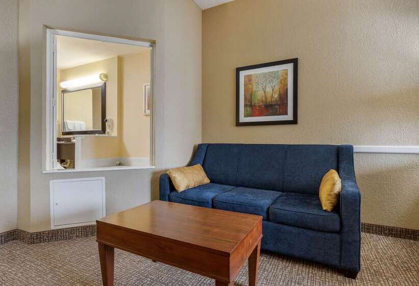 فندق Comfort Inn & Suites
