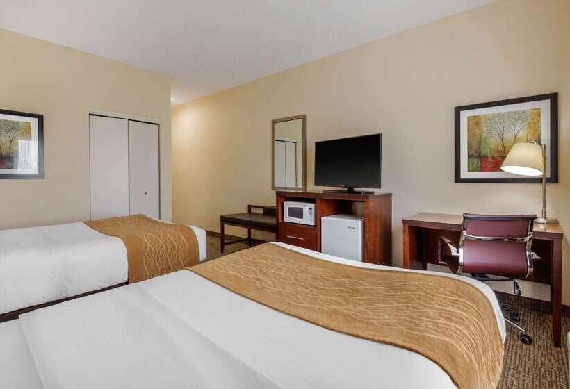 فندق Comfort Inn & Suites