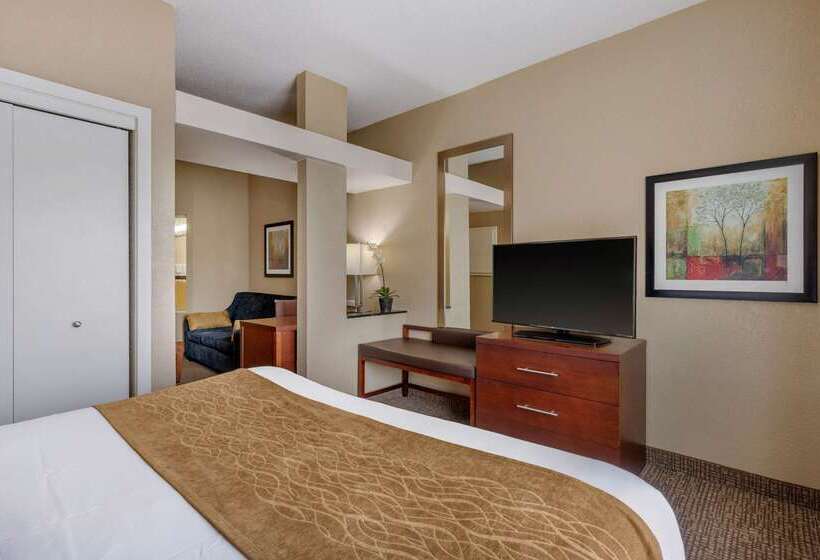 فندق Comfort Inn & Suites