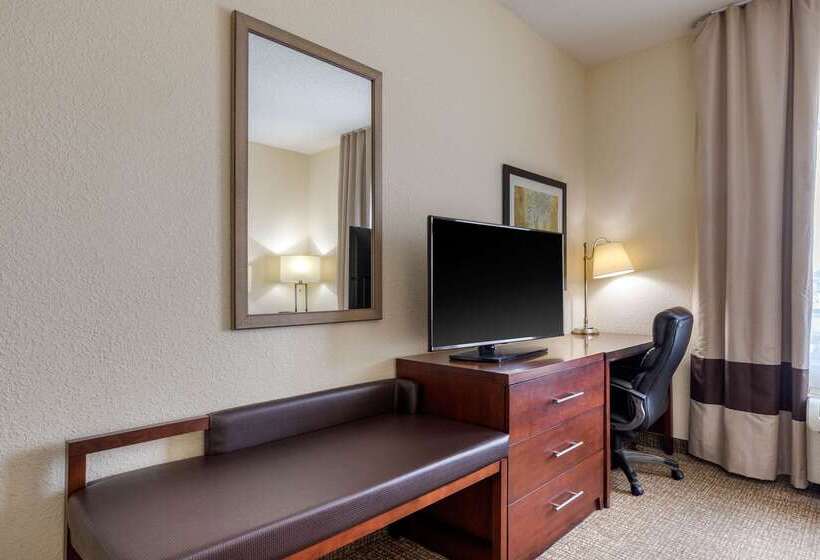 فندق Comfort Inn & Suites