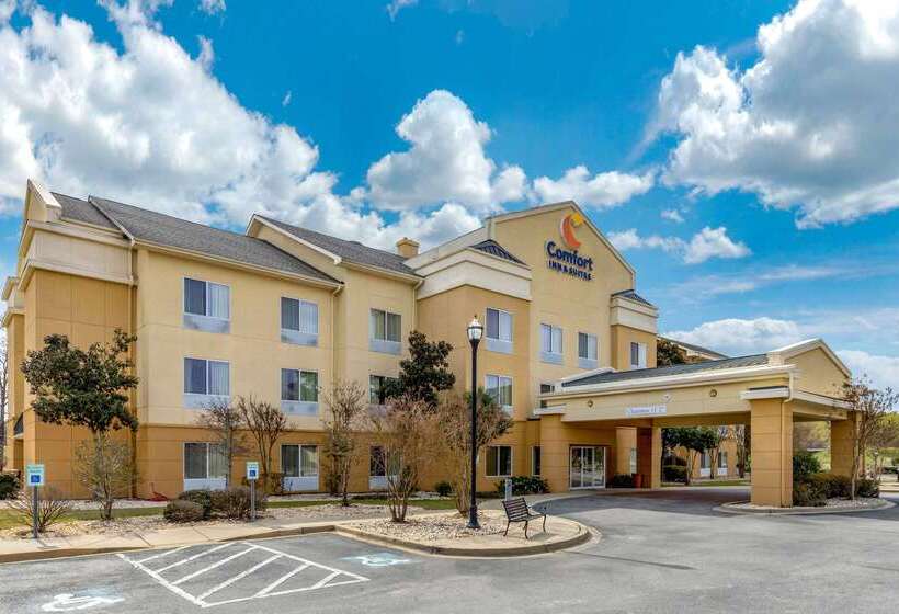 فندق Comfort Inn & Suites