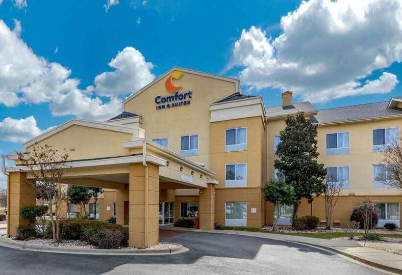فندق Comfort Inn & Suites