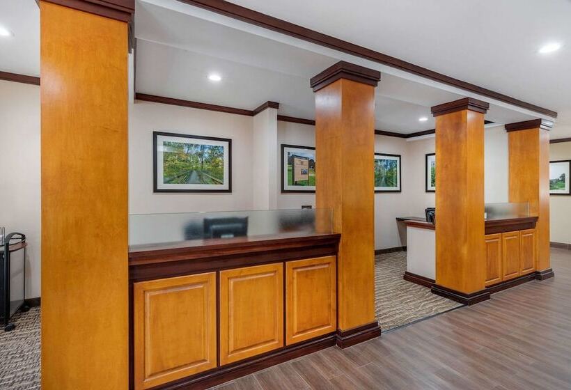 فندق Comfort Inn & Suites