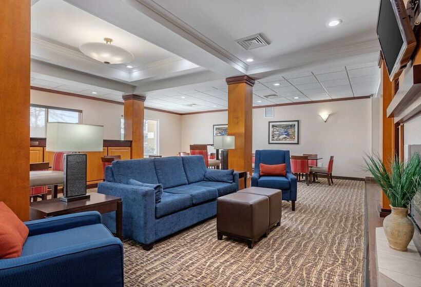 فندق Comfort Inn & Suites