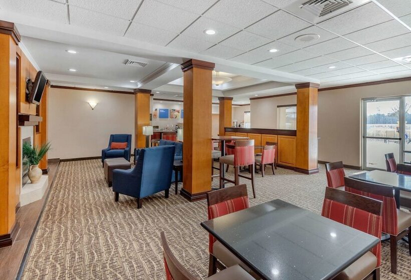 فندق Comfort Inn & Suites